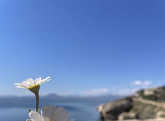 Μια υπέροχη εκδρομή στο Λουτράκι