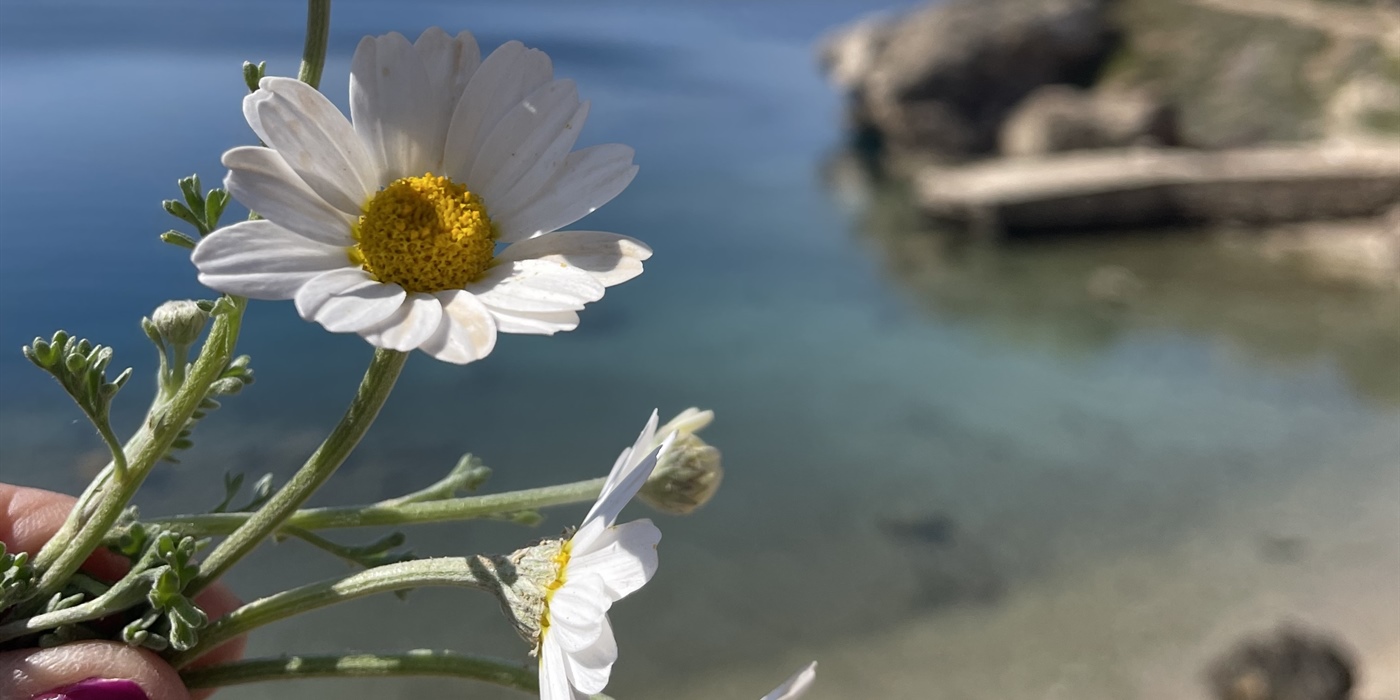 Μια υπέροχη εκδρομή στο Λουτράκι