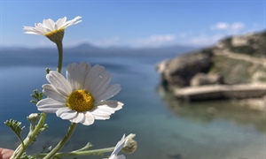 Μια υπέροχη εκδρομή στο Λουτράκι