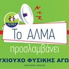 Προκήρυξη 7 θέσεων ΠΕ Φυσικής Αγωγής - Προγράμματα Π.Α.γ.Ο.